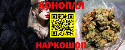 крисы Будённовск