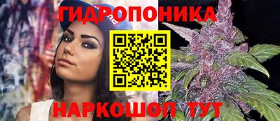 эйфоретик Магадан