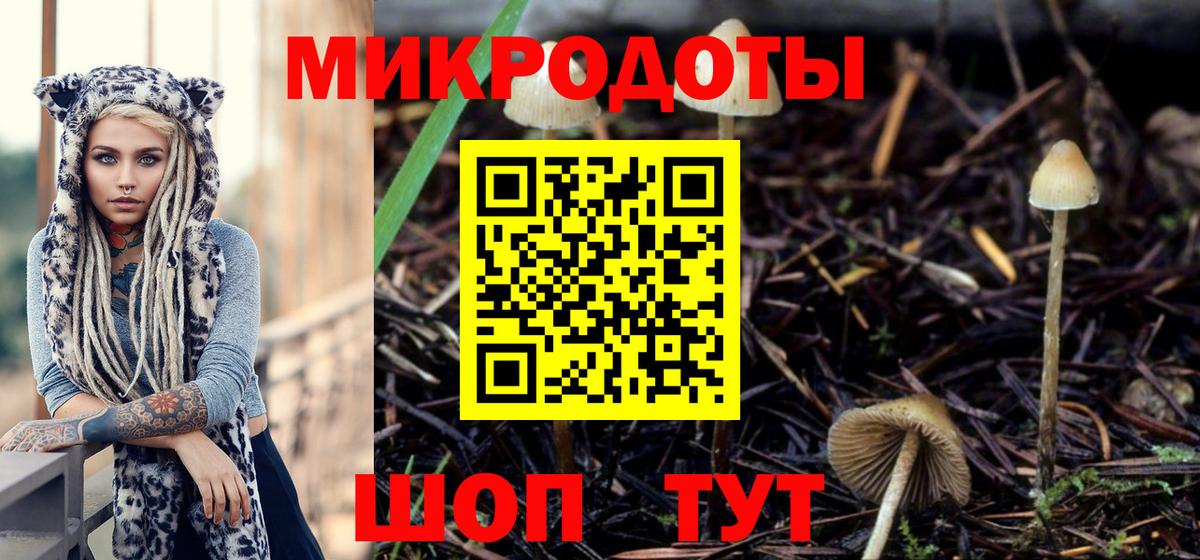 Мурманск  закладка  Вход с VPN  Псилоцибиновые грибы MAGIC MUSHROOMS 