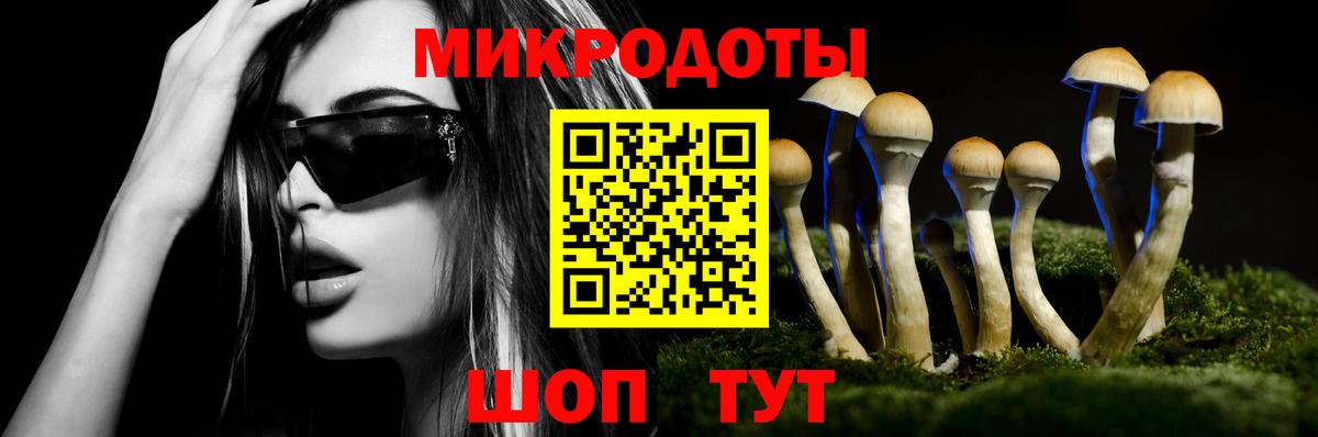 Галлюциногенные грибы Magic Shrooms Мурманск